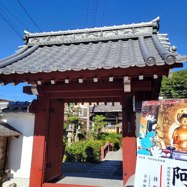 f:id:atoriatoriatori:20241120093054j:image