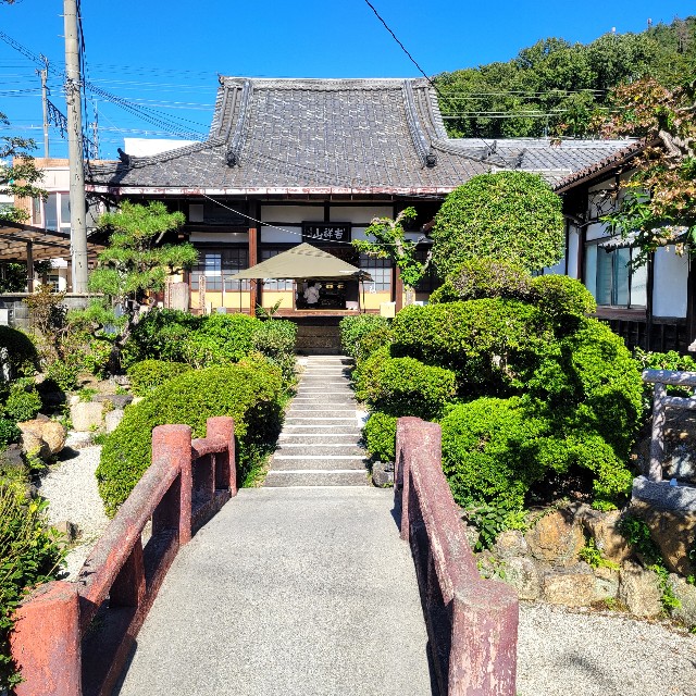 f:id:atoriatoriatori:20241120094745j:image