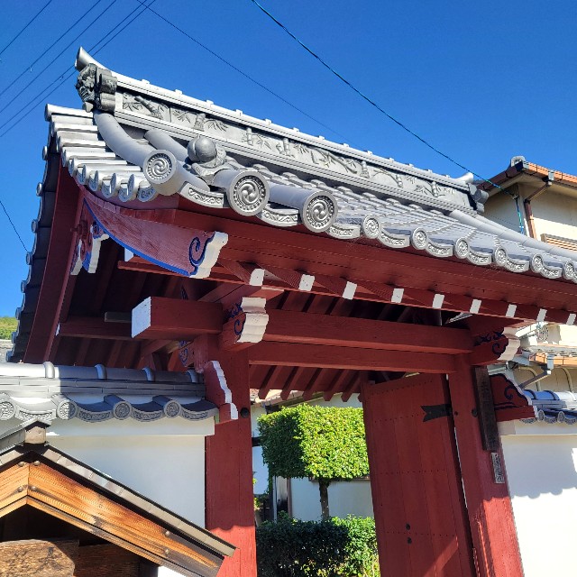 f:id:atoriatoriatori:20241120095002j:image