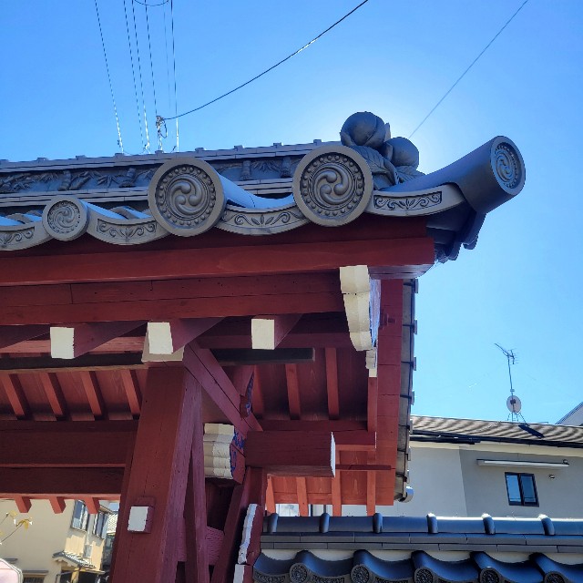 f:id:atoriatoriatori:20241120095927j:image