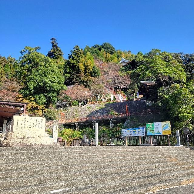f:id:atoriatoriatori:20241122220318j:image