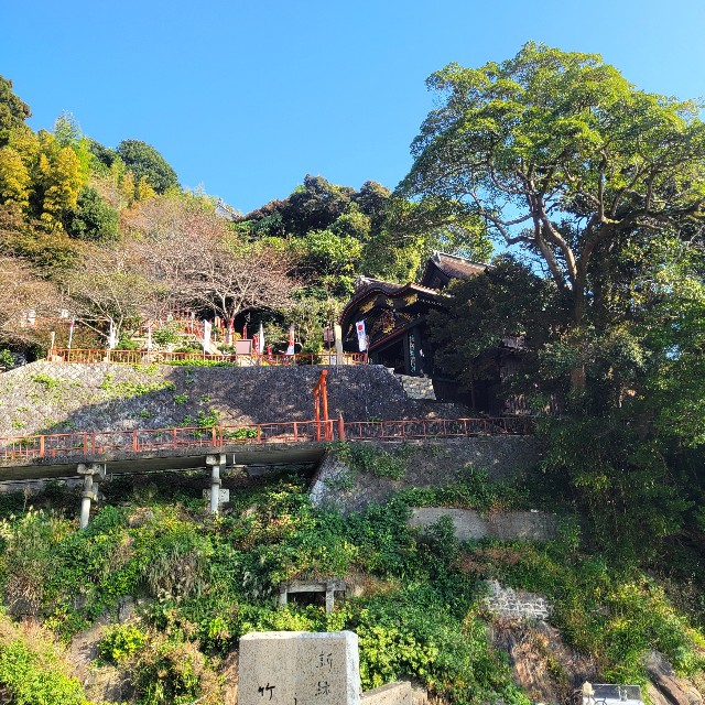 f:id:atoriatoriatori:20241122220904j:image