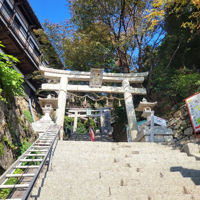f:id:atoriatoriatori:20241122220914j:image