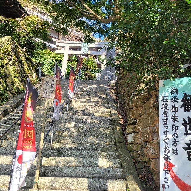 f:id:atoriatoriatori:20241123080126j:image