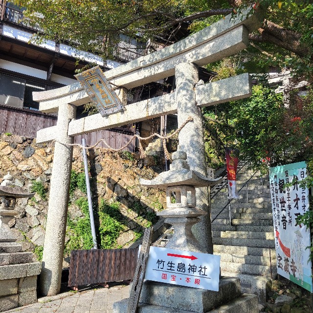 f:id:atoriatoriatori:20241123080518j:image