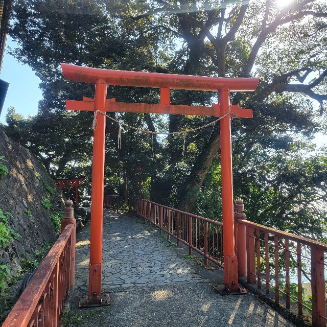 f:id:atoriatoriatori:20241123080546j:image