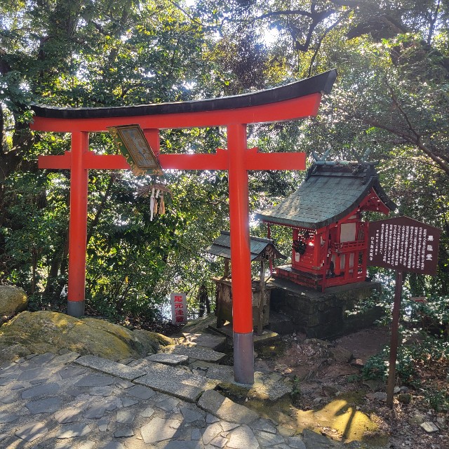 f:id:atoriatoriatori:20241123080554j:image