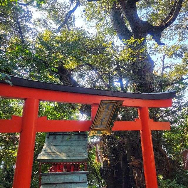 f:id:atoriatoriatori:20241123080708j:image