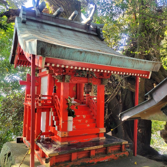f:id:atoriatoriatori:20241123080717j:image
