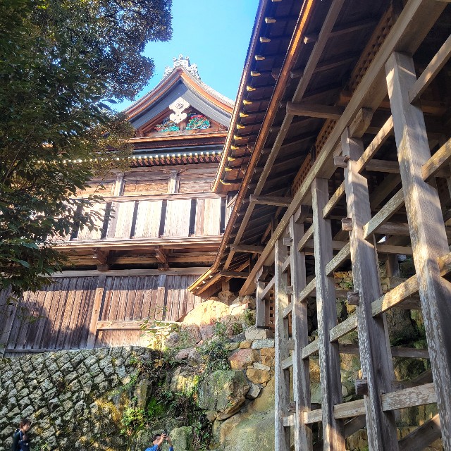 f:id:atoriatoriatori:20241123081328j:image