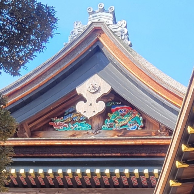 f:id:atoriatoriatori:20241123081338j:image