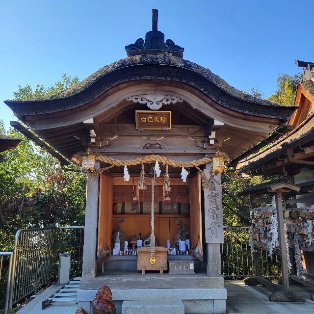 f:id:atoriatoriatori:20241123083817j:image