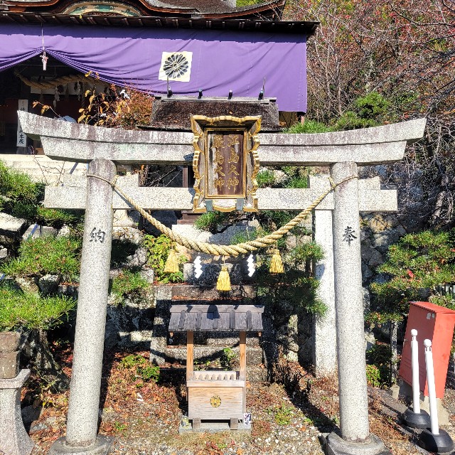 f:id:atoriatoriatori:20241123085043j:image