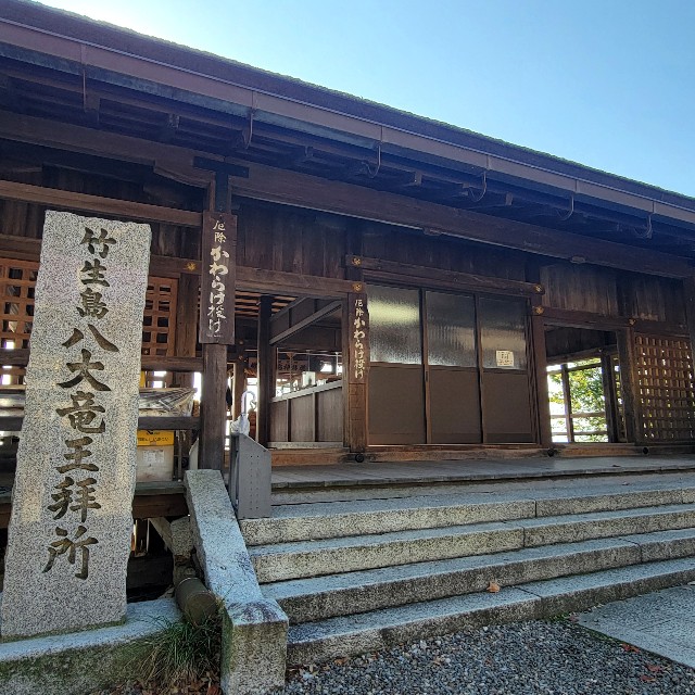 f:id:atoriatoriatori:20241123085341j:image
