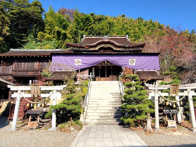 f:id:atoriatoriatori:20241123095549j:image