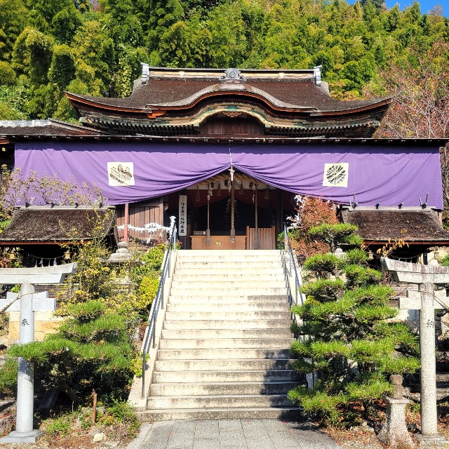 f:id:atoriatoriatori:20241123095834j:image