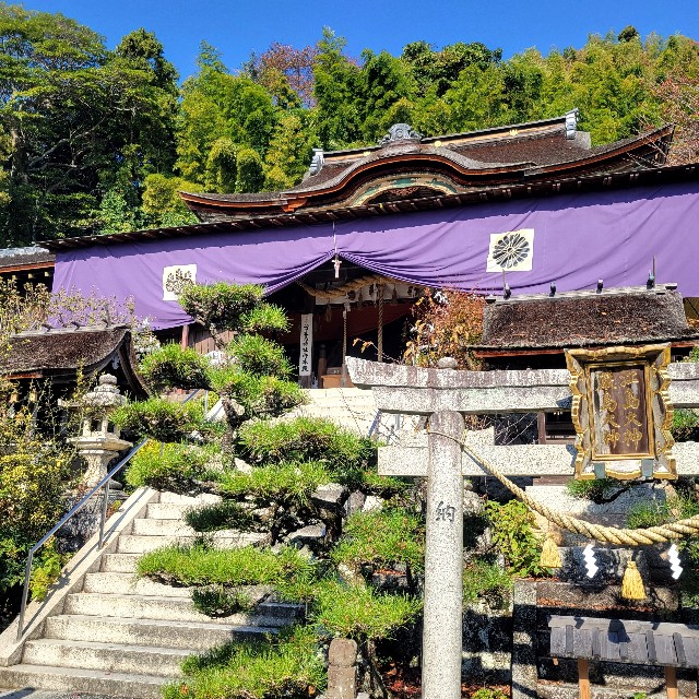 f:id:atoriatoriatori:20241123095841j:image