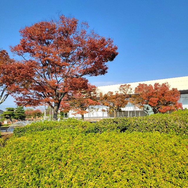 f:id:atoriatoriatori:20241129122028j:image