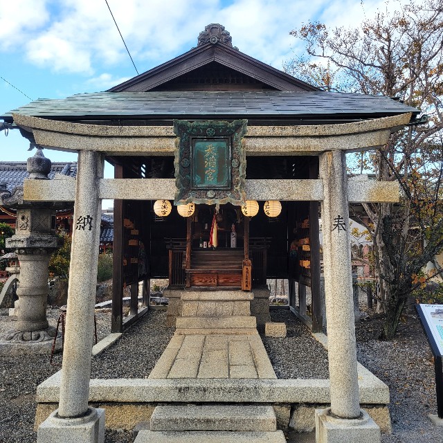f:id:atoriatoriatori:20241202205859j:image