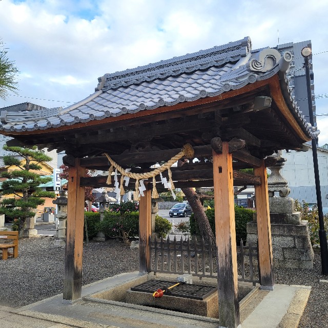 f:id:atoriatoriatori:20241203091148j:image