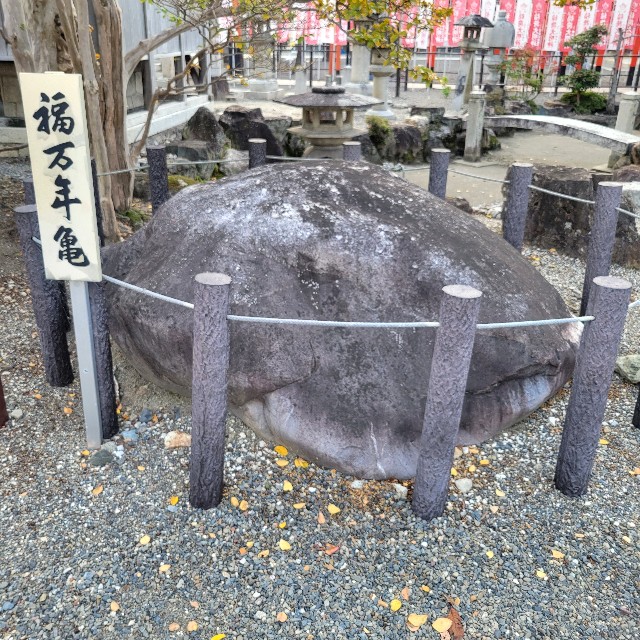 f:id:atoriatoriatori:20241203091353j:image