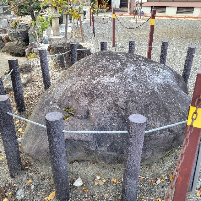 f:id:atoriatoriatori:20241203091402j:image
