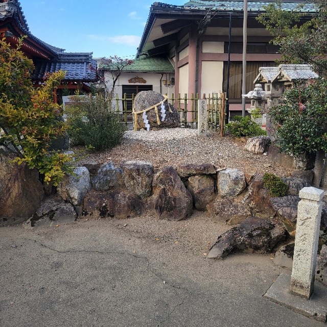 f:id:atoriatoriatori:20241203094424j:image