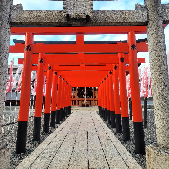 f:id:atoriatoriatori:20241203094644j:image