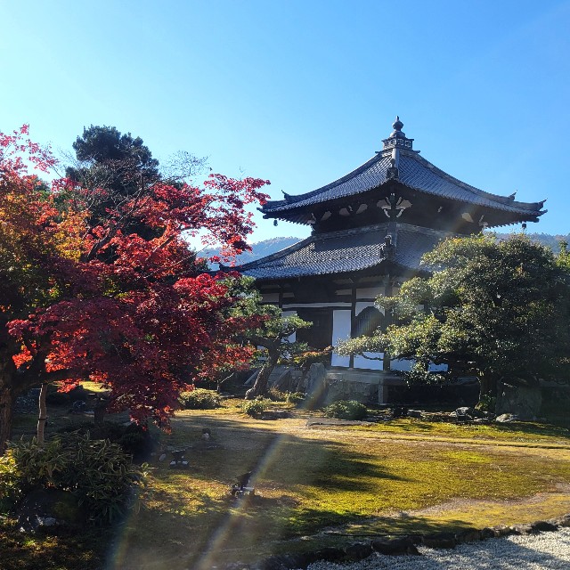 f:id:atoriatoriatori:20241204101042j:image