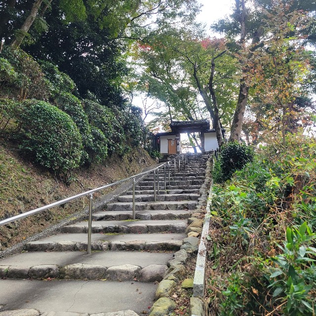 f:id:atoriatoriatori:20241204113218j:image