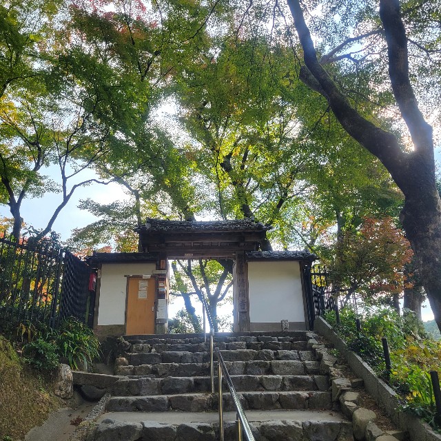 f:id:atoriatoriatori:20241204113228j:image