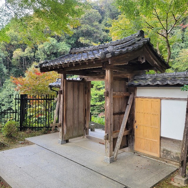 f:id:atoriatoriatori:20241204113445j:image
