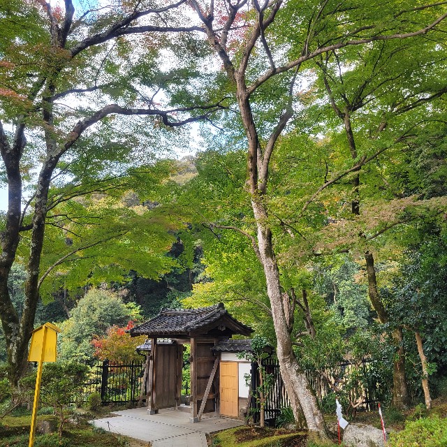 f:id:atoriatoriatori:20241204202507j:image
