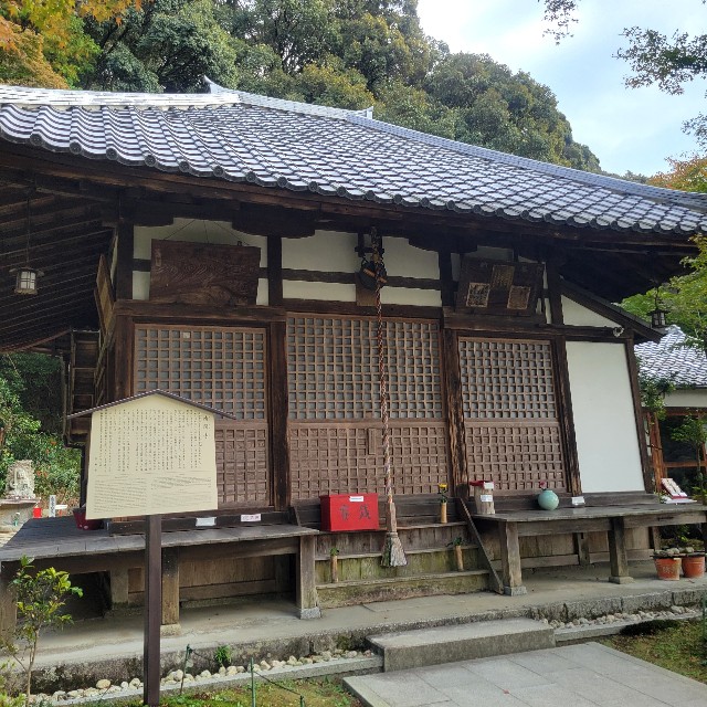 f:id:atoriatoriatori:20241204202519j:image