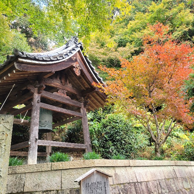 f:id:atoriatoriatori:20241204222819j:image