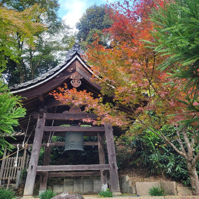 f:id:atoriatoriatori:20241204222828j:image