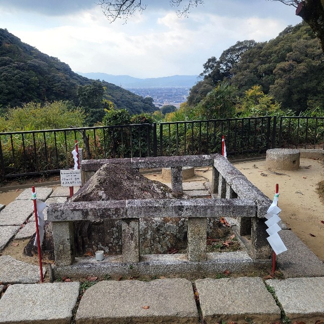 f:id:atoriatoriatori:20241204223037j:image