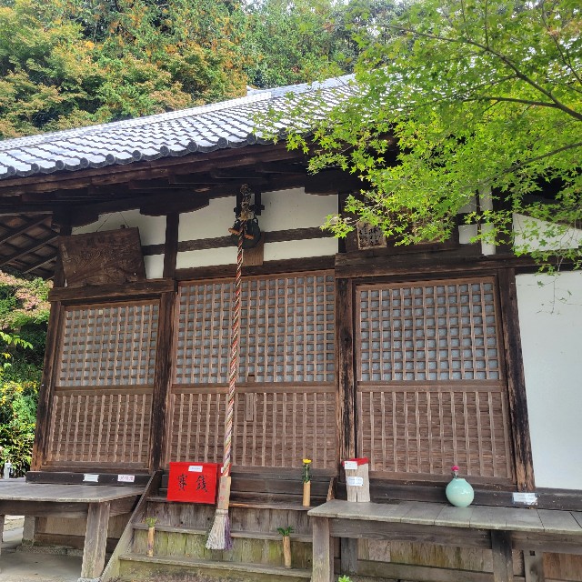 f:id:atoriatoriatori:20241205103012j:image