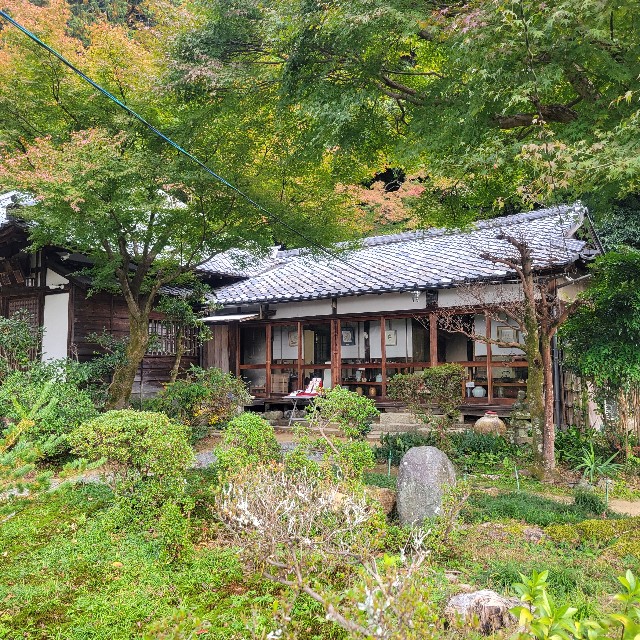 f:id:atoriatoriatori:20241205103051j:image