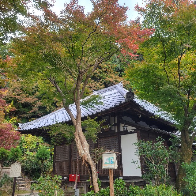 f:id:atoriatoriatori:20241205103100j:image