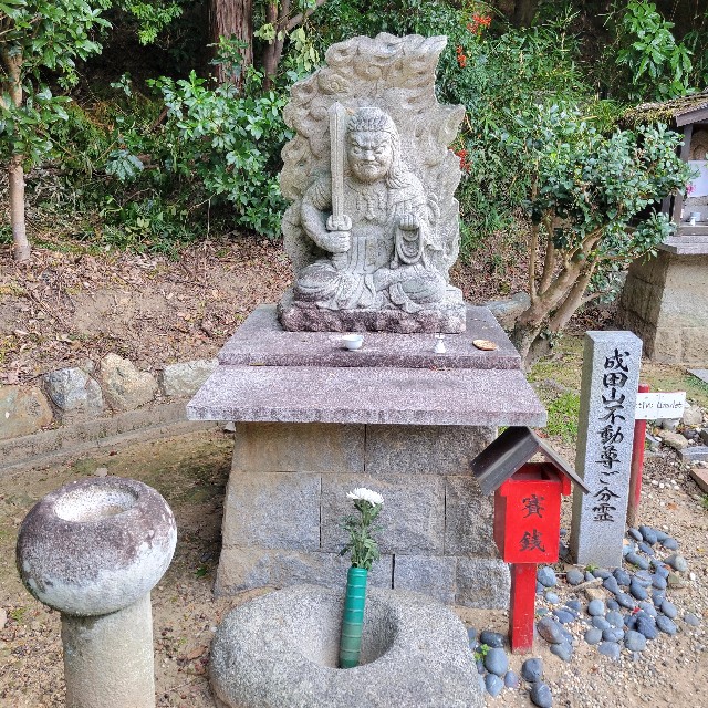 f:id:atoriatoriatori:20241205103505j:image