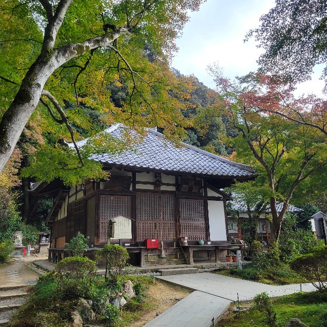 f:id:atoriatoriatori:20241205144736j:image