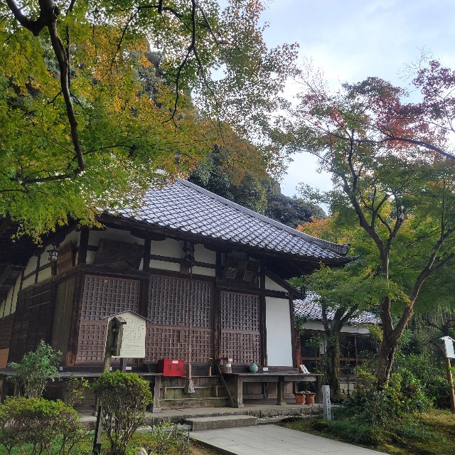 f:id:atoriatoriatori:20241205144745j:image