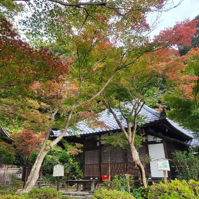 f:id:atoriatoriatori:20241205150439j:image