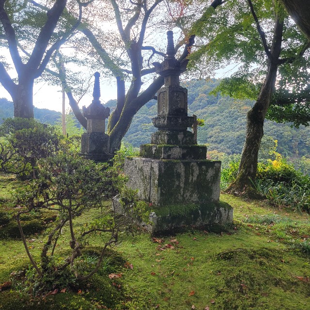 f:id:atoriatoriatori:20241205154722j:image