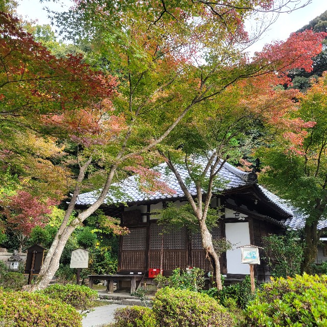 f:id:atoriatoriatori:20241205154918j:image