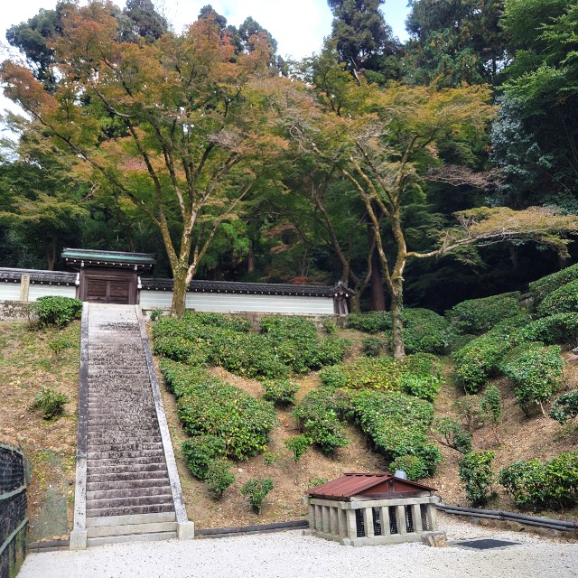 f:id:atoriatoriatori:20241205155013j:image