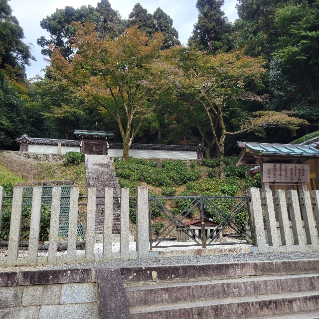 f:id:atoriatoriatori:20241205155035j:image