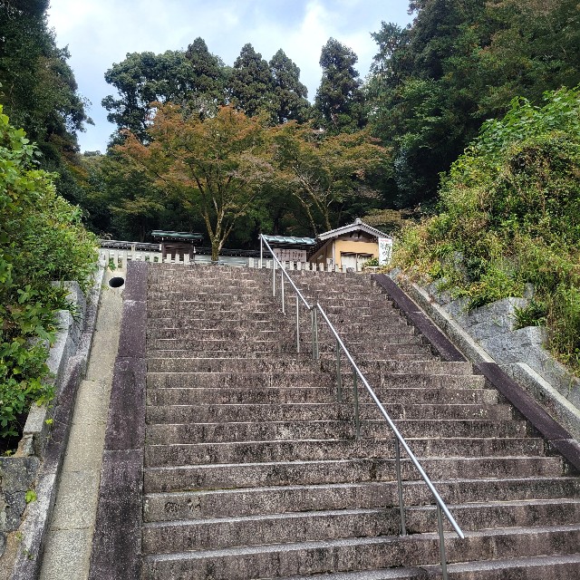 f:id:atoriatoriatori:20241205155053j:image