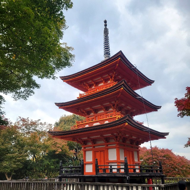 f:id:atoriatoriatori:20241205195044j:image